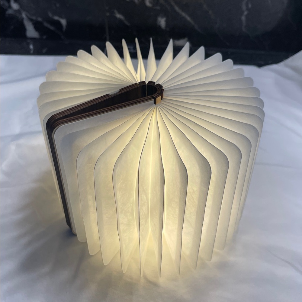 GINKO Mini Smart Book Light - Walnut - Picture 6 of 7